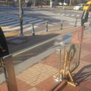 꽃뫼약국 이미지