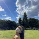 규포토