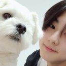 정원Eng