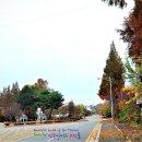 선화로 Daum카페