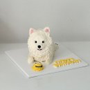 프프프 스토어 이미지