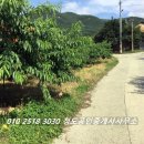 청도공인중개사사무소 이미지