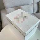 [임신 기록] 임신기간 변비 완전 해결👍 유산균 셀로닉스 셀티아이맘 내돈내산 후기