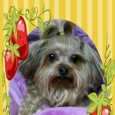 면목동-010 이미지