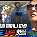 서ENG 이미지