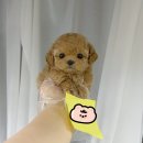 연제구-045 이미지