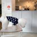 매그로