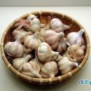 소리보관 이미지