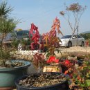 형제카서비스 이미지