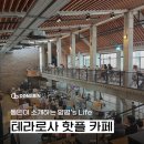 테라디앤씨 네이버블로그