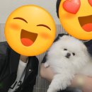 서초바른내과 이미지