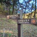 너릿재옛길정상 공중화장실 | 너릿재 정상에서 수레 바위 산, 만연산, 만연사까지 가을 산행