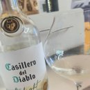 Casillero del Diablo Belight Sauvignon Blanc 2023