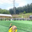 견식도락 거제시청점 이미지