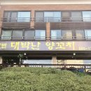 연변대박난양꼬치