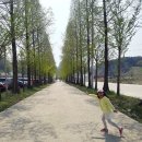 월선농장 이미지