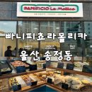 송정동-12 | 울산 송정동 베이커리 추천 | 치아바타 맛집 빠니피쵸 라 몰리카 솔직 후기