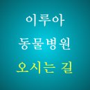 보성동물병원 이미지