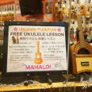 하와이 전통악기 우쿨렐레 이미지