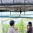 규석농장 이미지