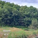 전원 부동산 중개인 사무소 이미지