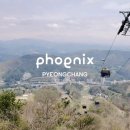 휘닉스 파크 평창 리조트, 카카오프렌즈 스카이 스위트룸, 블루캐니언 워터파크, 루지랜드, 케이블카