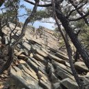 사자산달바위집 | 관악산 등반 솔직 후기 (부제 : 초보코스인줄 알고 자운암능선 탄 썰)