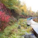 병길축사 이미지