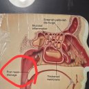 유정한의원 이미지