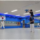 용인대 청명 태권도 네이버블로그