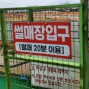 제주액티비티_제주레포츠랜드_국내최대규모 카트장 실제후기