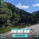 명지펜션 | [가평 명지계곡 후기] 서울 근교 계곡 물놀이, 평상대여+펜션까지 총정리!
