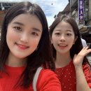 에스지투어 이미지