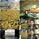 2016년 땅끝해남 구수한 겉보리쌀 (4kg-13,000원) 이미지