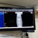 제연동물병원 이미지