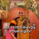 장안온천 이미지