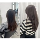 디오 동물병원 | 장산역 미용실 디오룸헤어 전체염색 후기