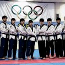 국가대표 탑클래스 태권도 이미지