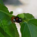 운상농장 이미지