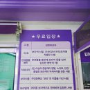 기동리 마을회관 | 신안 퍼플섬 보라색섬 야경까지100%즐기는 법 신안 가볼만한곳