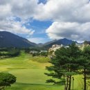 델피노숲 이미지