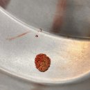 태백동물병원 이미지