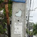 더 트리 치앙마이(The tree chiang mai) | 치앙마이 올드타운 요가 원데이클래스 BODHI TREE 예약 없이 방문 후기