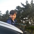 처가집민박