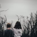 노년심리학 | 발달심리학의 역사