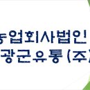 (주)영광유통 이미지