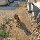 해진농장(2) 이미지