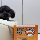 찬스덴탈 네이버블로그