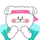 슈가뽀또