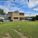 도그캠프 이미지